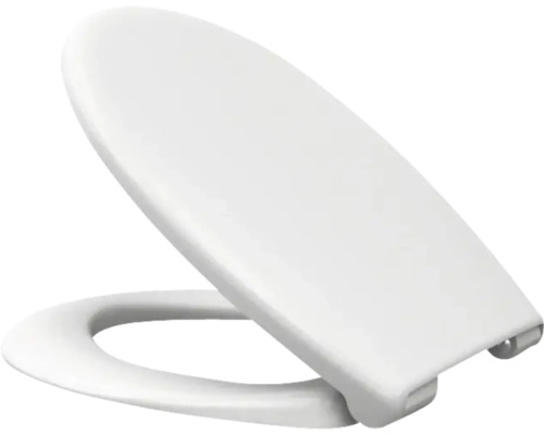 Toilettendeckel aus Kunststoff