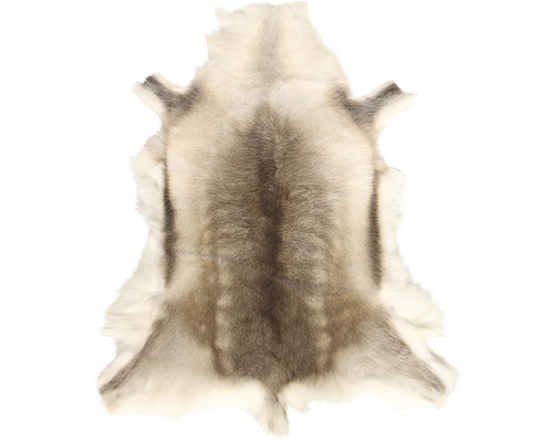 Peau de renne comme décoration