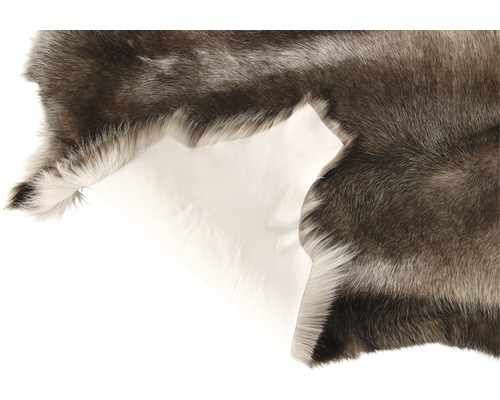 Fourrure décorative avec fond clair