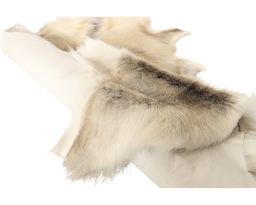 Peau de renne comme décoration