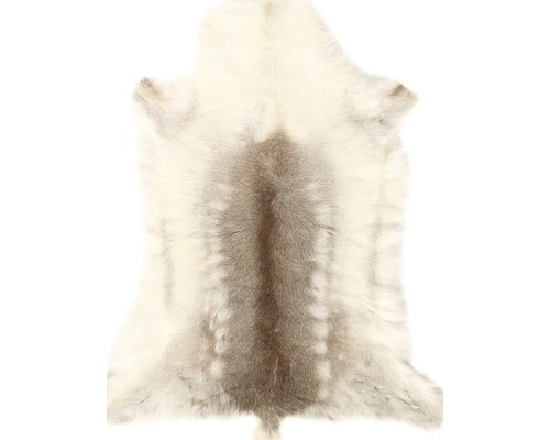 Peau de renne comme tapis