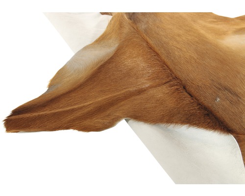 Dekofell aus Echtfell