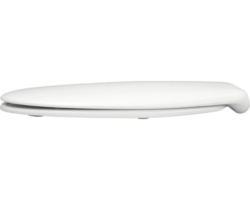 Toilettendeckel aus Sanitärkeramik