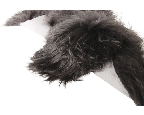 Grauer Schaffellteppich auf weissem Hintergrund