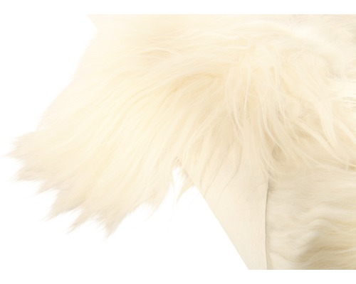 Detailansicht eines Teppichs mit langem Flor