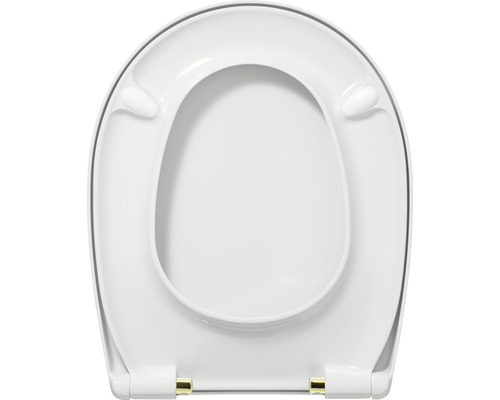 Toilettendeckel aus Kunststoff