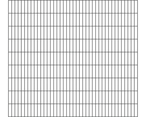 Doppelstabmatte ALBERTS Typ 6/5/6 200 x 180 cm anthrazit Metallgitter zur Verwendung als Zaunelement