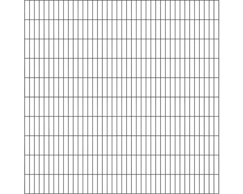 Doppelstabmatte ALBERTS 6/5/6 200 x 200 cm anthrazit