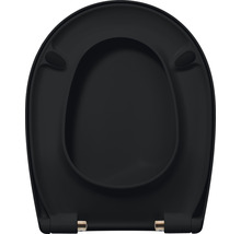 Schwarzer WC-Sitz