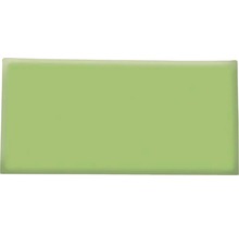 Fimo Soft vert tropical 57g