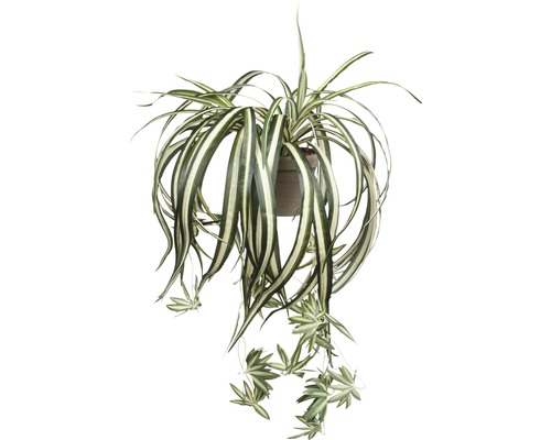 Kunstpflanze Grünlilie Chlorophytum Ø 45 H 30 cm grün