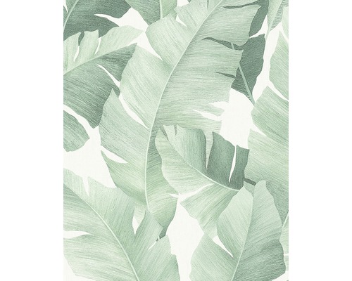 Papier peint intissé 31650 Avalon Floral blanc vert Papier peint avec motif de feuilles