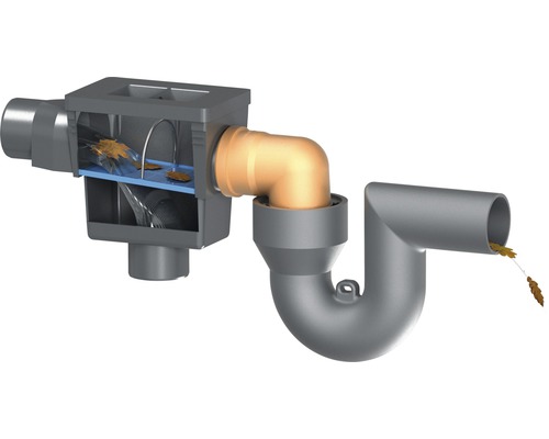 Vue de dessus d''une descente de gouttière avec panier pare-feuilles et siphon
