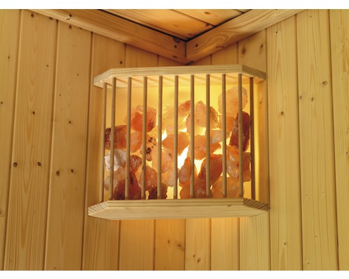 Ampoules de sauna et haut-parleur pour sauna
