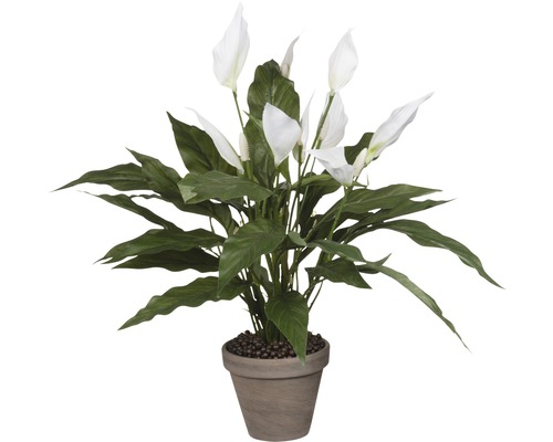 Kunstblume Einblatt Spathiphyllum Ø 40 H 50 cm weiß