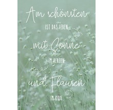 Dekoratives Bild mit dem Spruch: Am schönsten ist das Leben mit Sonne im Herzen und Flausen im Kopf.