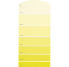 Carte échantillon de peinture B01 univers des couleurs jaune 21x10 cm-thumb-0