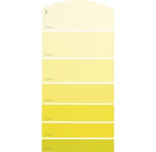 Carte échantillon de peinture B02 univers des couleurs jaune 21x10 cm