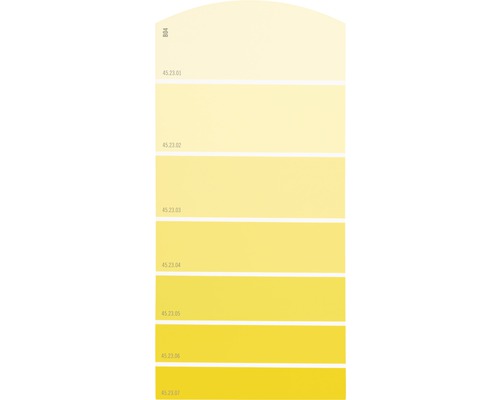 Farbmusterkarte Farbtonkarte B04 Farbwelt gelb 21x10 cm