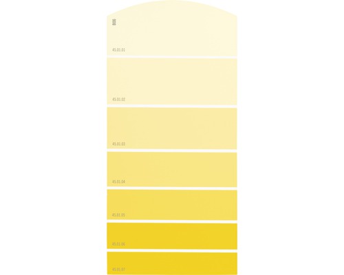 Carte échantillon de peinture B06 univers des couleurs jaune 21x10 cm