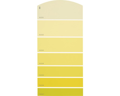 Farbmusterkarte Farbtonkarte B09 Farbwelt gelb 21x10 cm