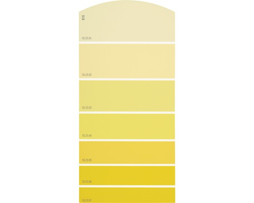 Carte échantillon de peinture B10 univers des couleurs jaune 21x10 cm