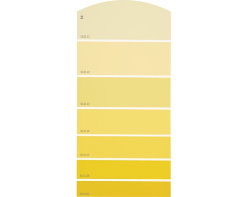 Carte échantillon de peinture B11 univers des couleurs jaune 21x10 cm