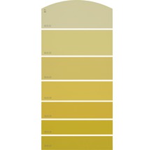 Nuancier de couleurs avec des tons jaunes