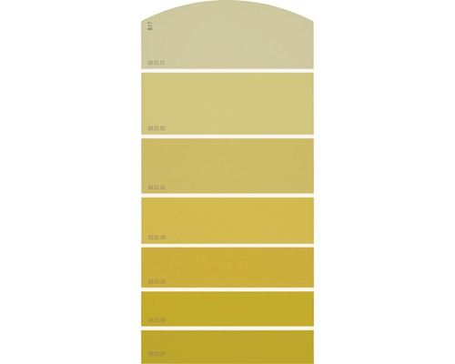 Carte échantillon de peinture B17 univers des couleurs jaune 21x10 cm