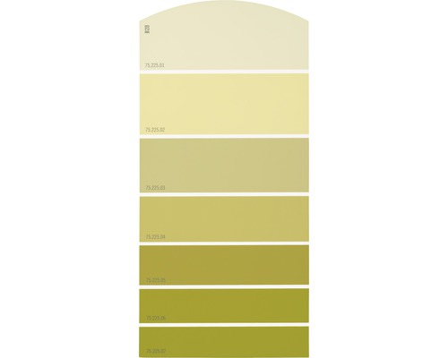 Farbmusterkarte Farbtonkarte B20 Farbwelt gelb 21x10 cm