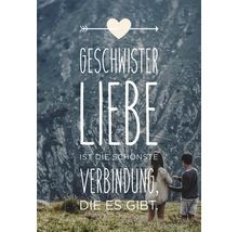 Affiche décorative avec l''inscription L''amour fraternel est le plus beau lien qui soit devant un paysage de montagne