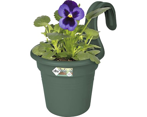 Pot de fleurs à suspendre avec pensée