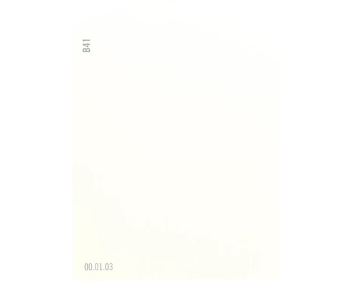 Carte échantillon de peinture B41 Off-White univers des couleurs jaune 9,5x7 cm Feuille de papier blanche avec l''inscription B41 et 00.01.03
