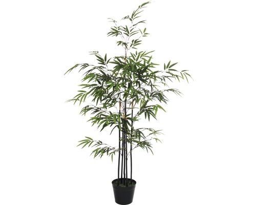 Kunstpflanze Bambus Ø 75 H 120 cm grün - HORNBACH Luxemburg