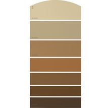 Farbfächer mit Abstufungen von Beige bis Braun