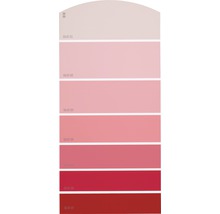 Nuancier présentant des variations de couleurs allant du rose clair au rouge foncé