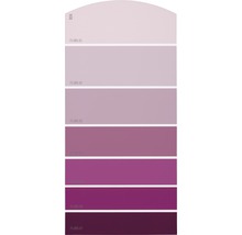 Farbfächer mit sieben Farbabstufungen in Violett