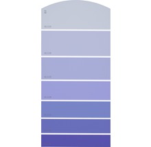 Carte échantillon de peinture E17 univers des couleurs violet 21x10 cm