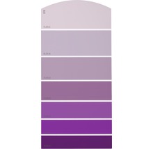 Farbfächer mit verschiedenen Violetttönen