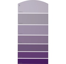 Farbfächer mit verschiedenen Violetttönen