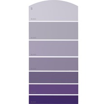 Nuancier présentant différentes nuances de violet pour la décoration murale