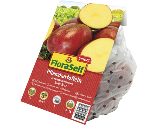 Plants de pommes de terre FloraSelf variété Baltic Rose en sac