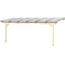 Holz Carport mit transparentem Dach