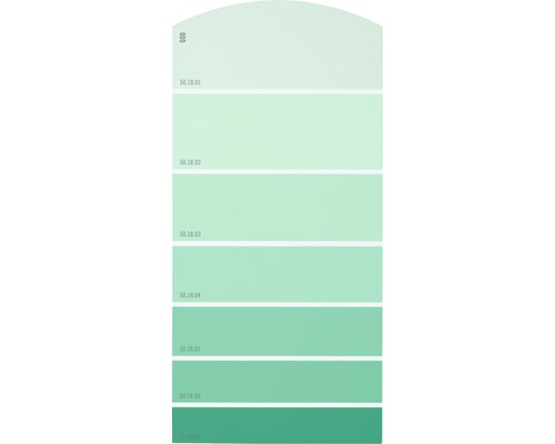 Farbmusterkarte Farbtonkarte G08 Farbwelt grün 21x10 cm