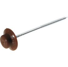 Einzelfoto eines braunen Dachpappennagels