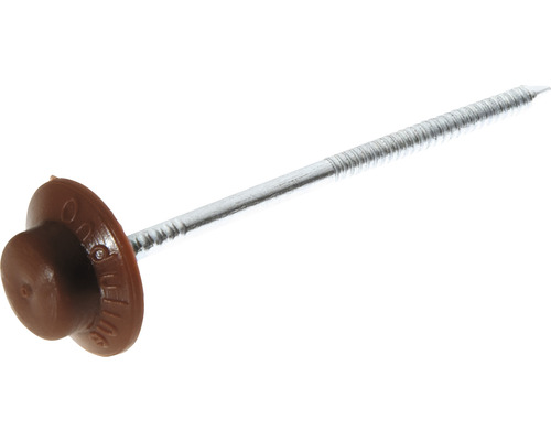 Einzelfoto eines braunen Dachpappennagels