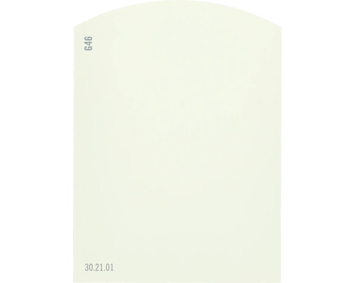 Carte échantillon de peinture G46 Off-White univers des couleurs vert 9,5x7 cm Nuancier G46 pour la sélection des couleurs