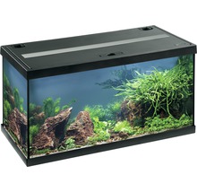 Aquarium EHEIM aquastar 54 avec éclairage à LED, filtre intérieur, chauffage, thermomètre sans meuble bas, noir-thumb-0