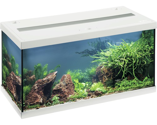 Aquarium EHEIM aquastar 54 avec éclairage à LED, filtre intérieur, chauffage, thermomètre sans meuble bas, blanc