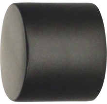 Embout cap pour Rivoli noir Ø 20 mm 2 pièces